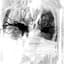 apacycle avatar